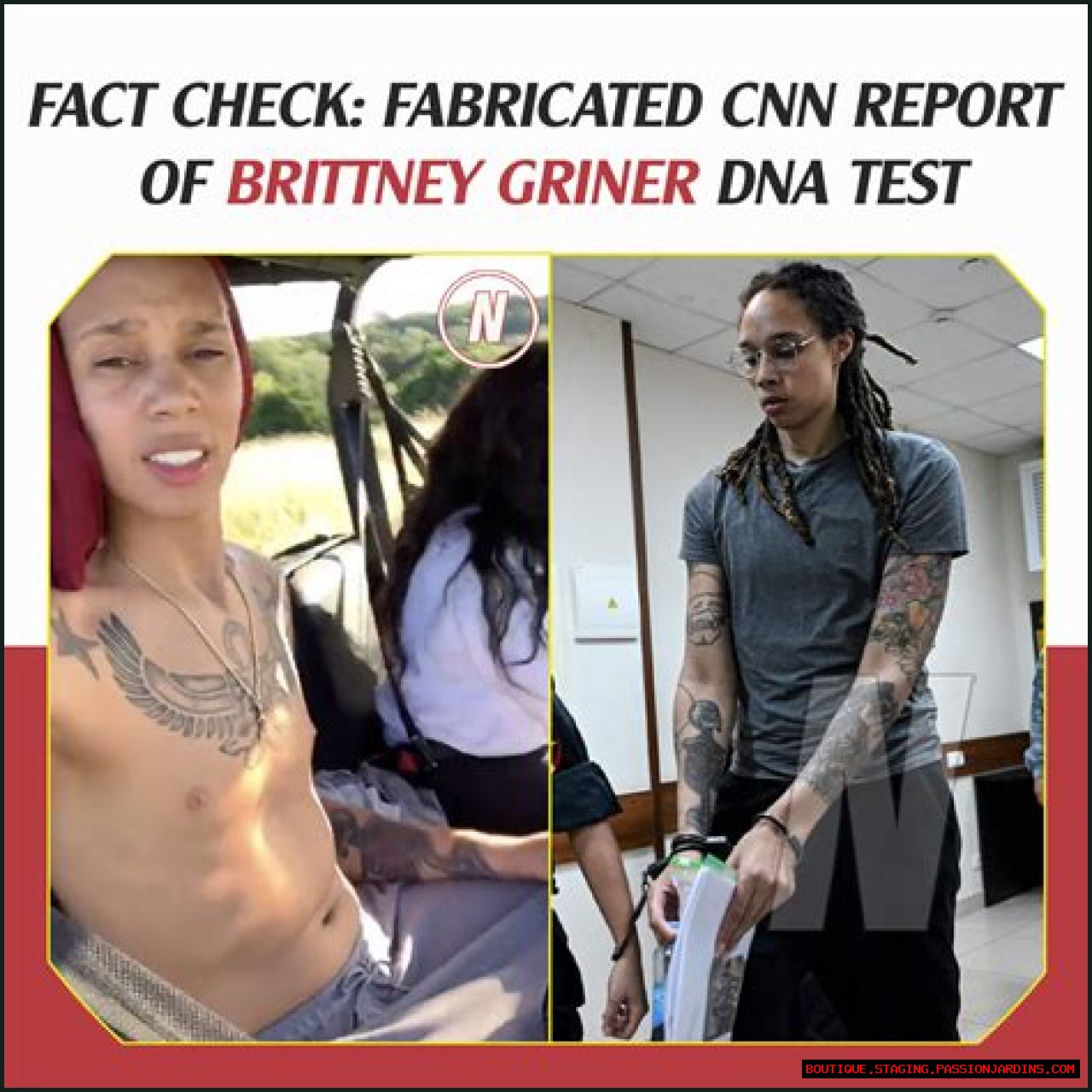 Is Brittney Griner A Male Or Female? The Answer May Surprise You
